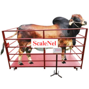 ANIMAL COW WEIGHT SCALE 2000KG (AS-01-80)